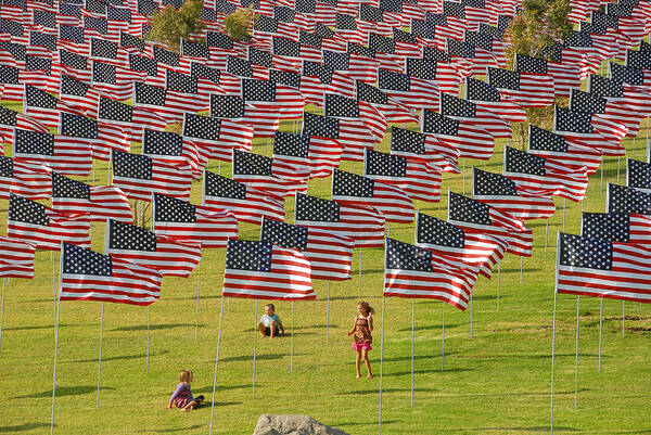 American Flags Poster featuring the photograph Freedom by Lynn Bauer