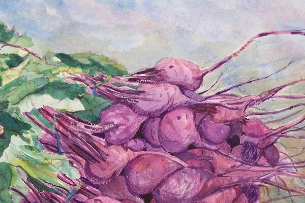 Purple Poster featuring the painting Fresh Beets by Barbara McGeachen
