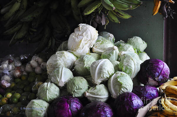 Market Markets Poster featuring the photograph Fresh Cabbage For Sale by Li Newton