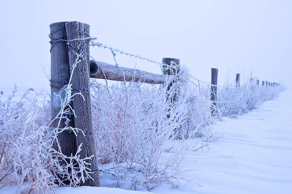 Fences Poster featuring the photograph Frosty Morning by Monte Stevens