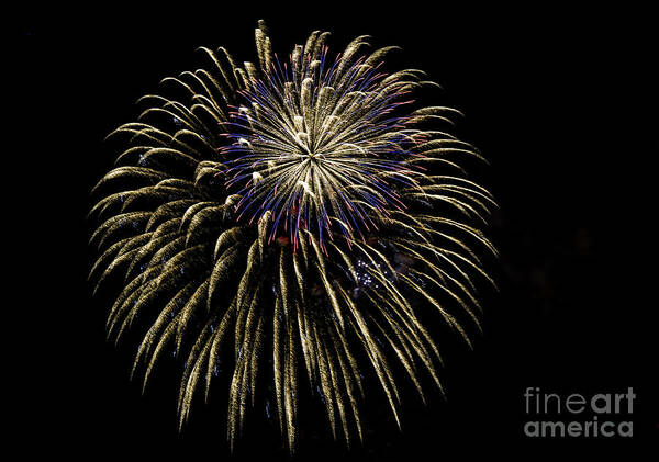 Fireworks Poster featuring the photograph Fw008 by David Waldrop