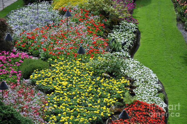 Flower Poster featuring the photograph Garden Tapestry 5 by Tatyana Searcy