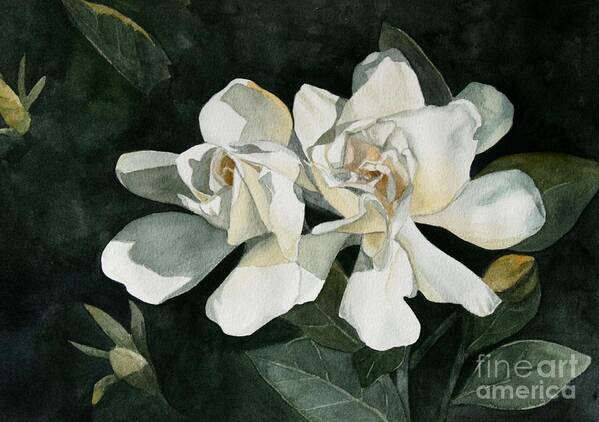 Flowers Poster featuring the painting Gardenia Duo 1 by Jan Lawnikanis