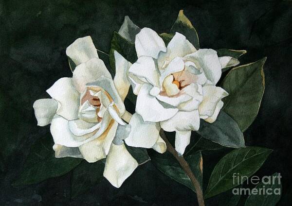 Flowers Poster featuring the painting Gardenia Duo 2 by Jan Lawnikanis