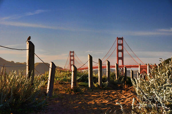Nature Poster featuring the photograph Golden Gate Bridge - 2 by Mark Madere