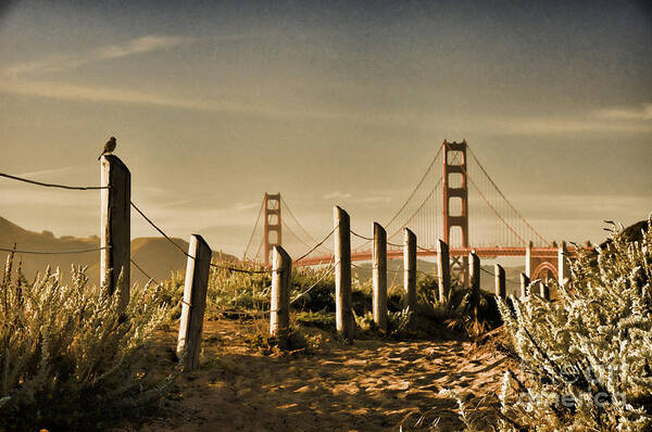 Golden Gate Bridge Poster featuring the photograph Golden Gate Bridge - 3 by Mark Madere