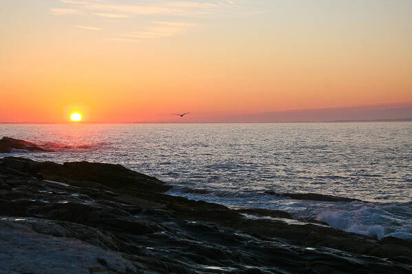 Landscape Poster featuring the photograph Good Morning Sunshine by Brenda Giasson