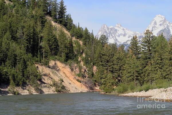 Grand Tetons Poster featuring the photograph Grand Tetons From Snake River by Living Color Photography Lorraine Lynch