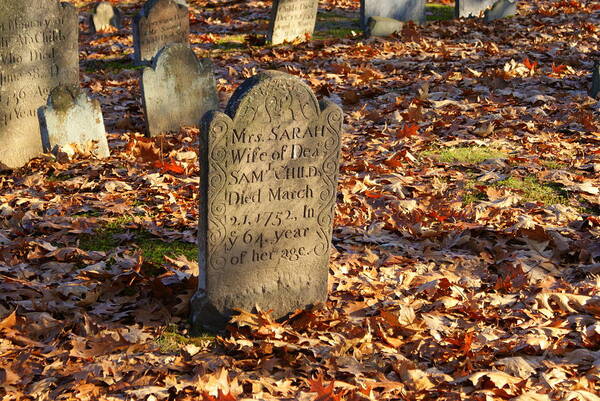 Gravestone Poster featuring the photograph Gravestone 4 by Lois Lepisto