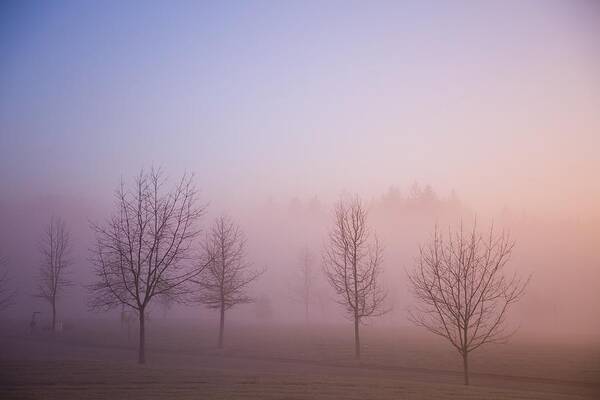 Copy Space Poster featuring the photograph Happy Valley, Oregon, Usa Foggy Sunrise by Craig Tuttle