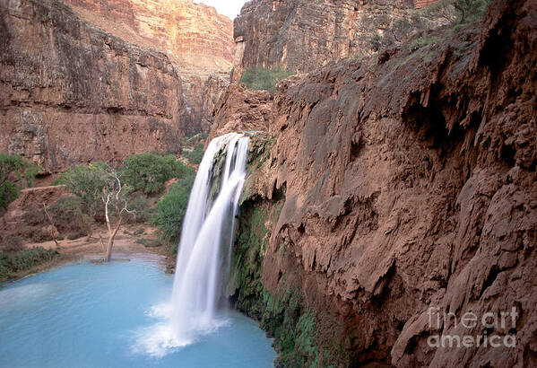 Waterfall Poster featuring the photograph Havasupai Falls AZ by Joanne West