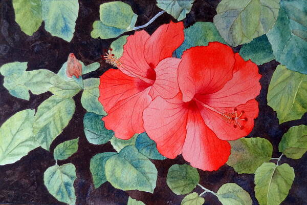 Hibiscus Poster featuring the painting Hibiscus by Laurel Best