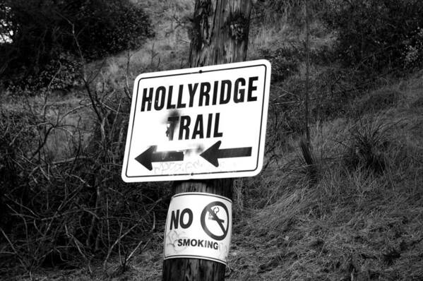 Hollyridge Poster featuring the photograph HollyRidge Trail by Jera Sky