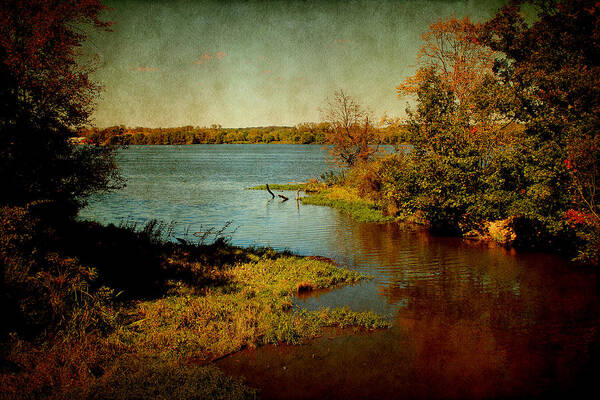 Brown Poster featuring the photograph Illinois River by Milena Ilieva