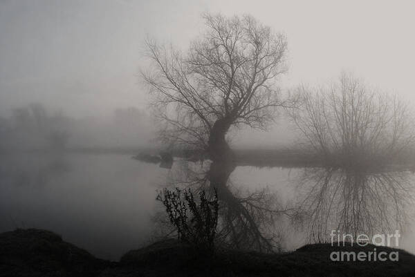 Yhun Suarez Poster featuring the photograph In The Mist by Yhun Suarez