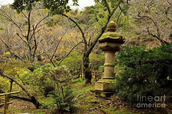 Landscapes Poster featuring the photograph Japanese Garden in Autumn 2 by Dean Harte