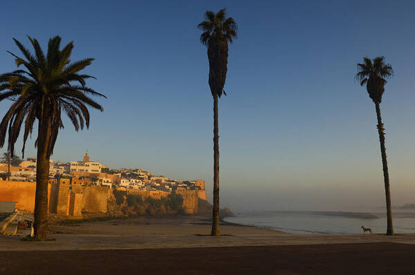 Photography Poster featuring the photograph Kasbah Des Oudaias, Rabat by Axiom Photographic