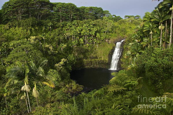 Photography Poster featuring the photograph Kulaniapia Falls by Sean Griffin