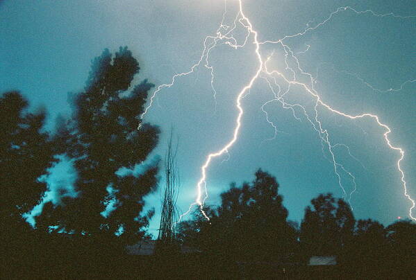 Lightning Poster featuring the photograph Lightning Trees by Trent Mallett