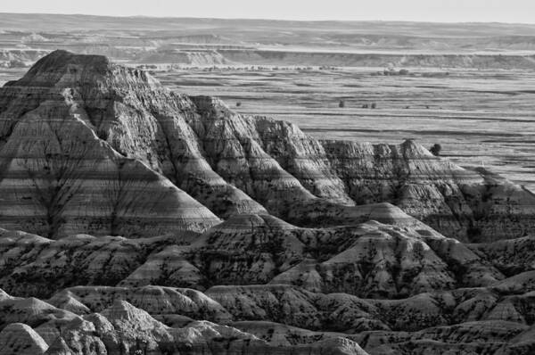 South Dakota Badlands Poster featuring the photograph Line Them Up by Wilma Birdwell