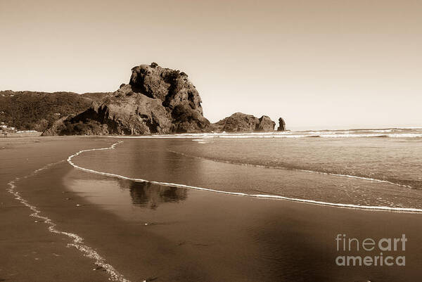 Lion Poster featuring the photograph Lion Rock by Yurix Sardinelly