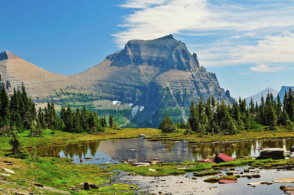 Glacier National Park Poster featuring the photograph Logan Pass by Greg Norrell