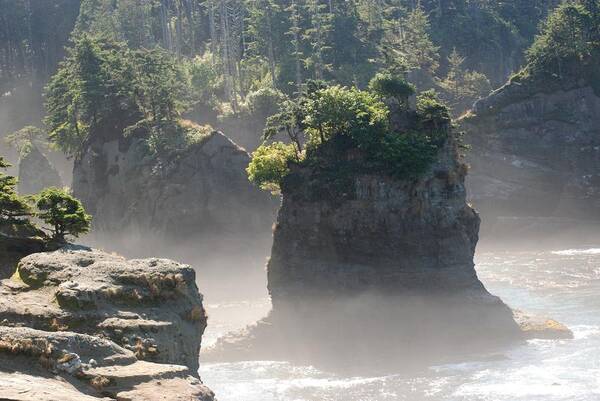 Island Poster featuring the photograph Lone Island at Cape Flattery by Wanda Jesfield