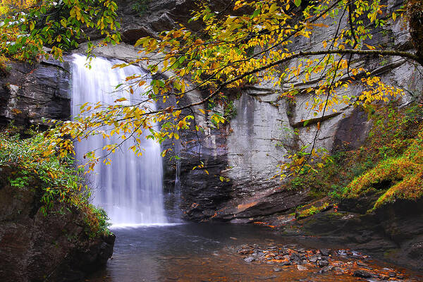 Waterfall Poster featuring the photograph Looking Glass Falls by Alan Lenk