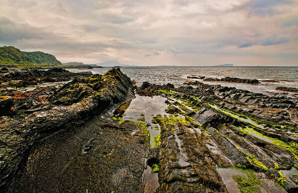 Low Tide Poster featuring the photograph Low tide rocks by Chris Thaxter