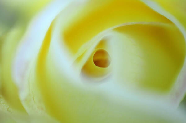 Yellow Poster featuring the photograph Magic Tunnel by Wanda Brandon