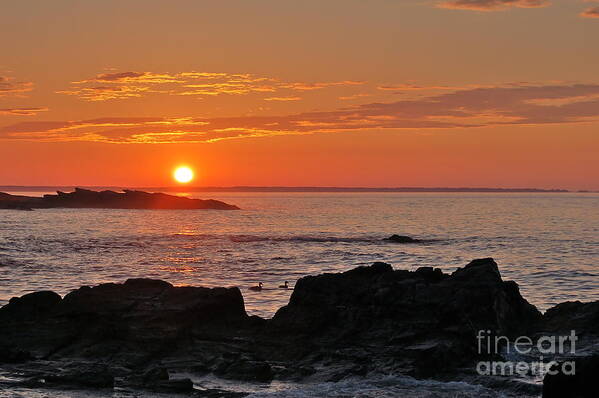 Seascape Poster featuring the photograph Maine Sunrise by Christine Tobolski