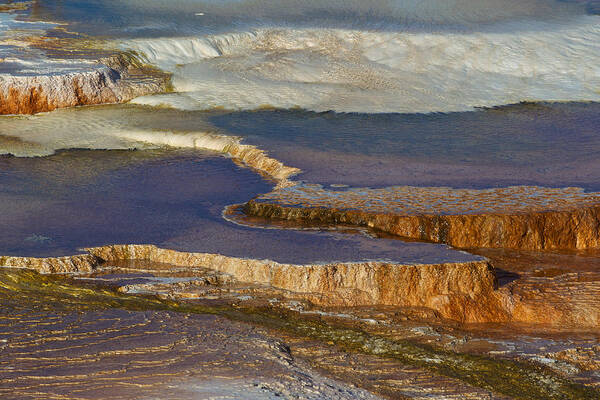 Usa Poster featuring the photograph Mammoth Hot Springs by Johan Elzenga