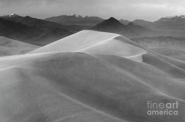 Death Valley Poster featuring the photograph Death Valley California Mesquite Dunes 11 by Bob Christopher