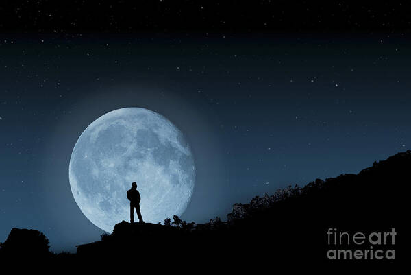 Moonlit Solitude Poster featuring the photograph Moonlit Solitude by Steve Purnell