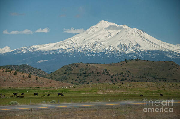 Landscape Poster featuring the digital art Mount Shasta by Carol Ailles