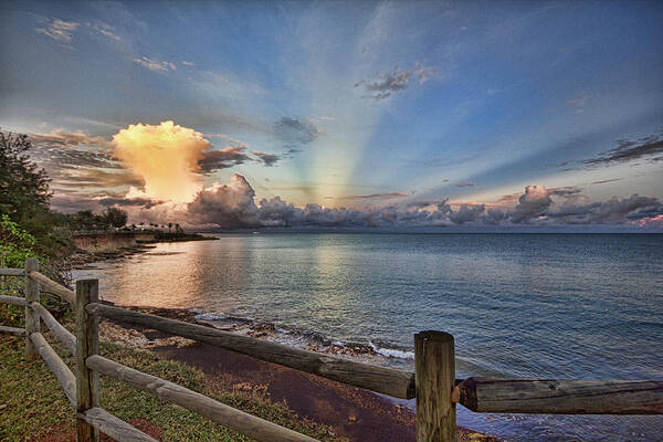 Mushroom Cloud Poster featuring the photograph Mushroom Cloud by Douglas Barnard