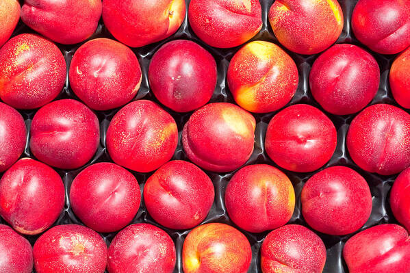 Agriculture Poster featuring the photograph Nectarines by Tom Gowanlock