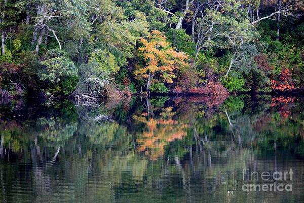 Fall Foliage Poster featuring the photograph New England Fall Reflection by Carol Groenen