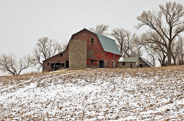 Barns Poster featuring the photograph Old Red Barn by Ed Peterson