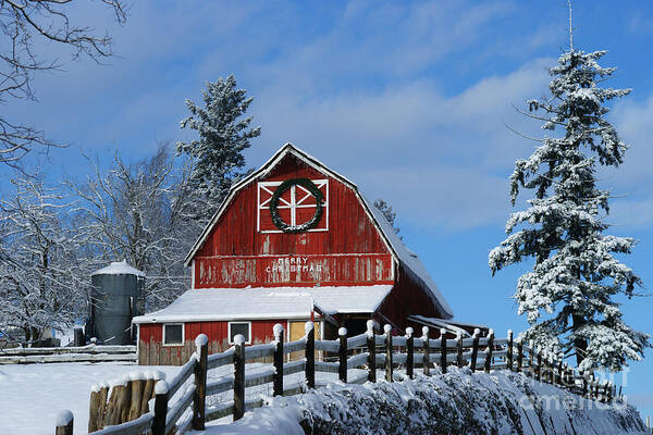 Barns Poster featuring the photograph Old Red Barn on McMillian by Randy Harris