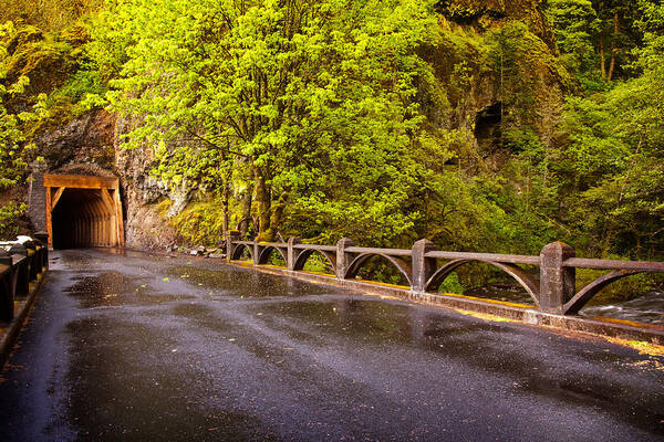 Tunnel Poster featuring the photograph Oneonta Tunnel by Jon Ares