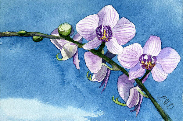 Flower Poster featuring the painting Orchid by Eunice Olson