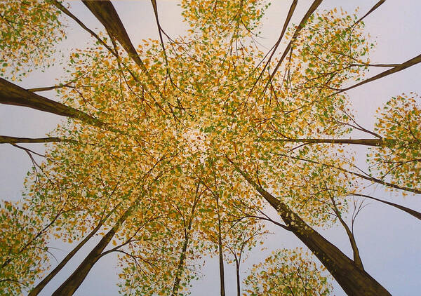 Trees Poster featuring the painting Original Tree Painting LOOK UP by Amy Giacomelli by Amy Giacomelli