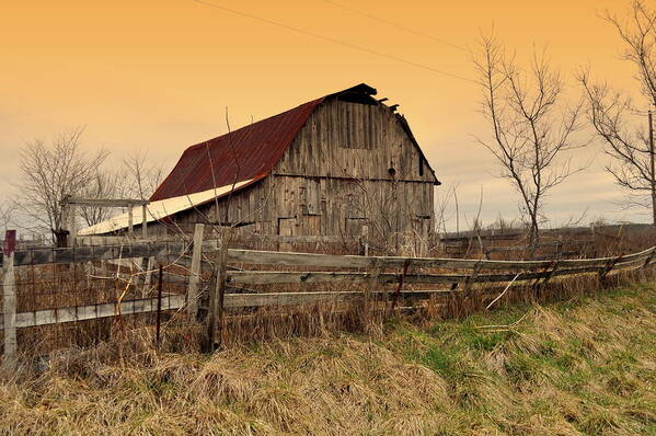 Barns Poster featuring the photograph Ozark Barn 1 by Marty Koch