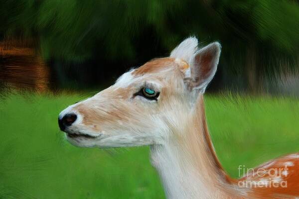 Painted Deer Poster featuring the digital art Painted Deer by Mariola Bitner