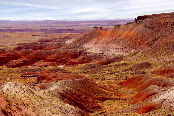 Painted Desert Poster featuring the photograph Painted Desert by Mike McGlothlen