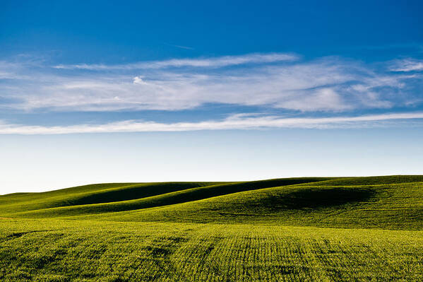 Palouse Poster featuring the photograph Palouse Hills 4 by Niels Nielsen