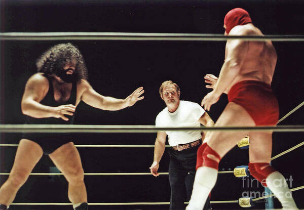 Old School Wrestling Poster featuring the photograph Pampero Firpo vs Texas Red in Old School Wrestling from the Cow Palace by Jim Fitzpatrick