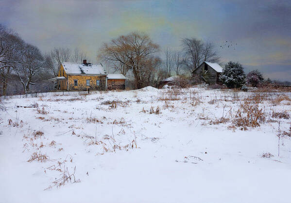 Winter Poster featuring the photograph Pastel Winter by Robin-Lee Vieira