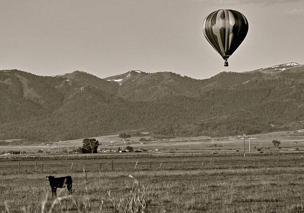 Balloon Poster featuring the photograph Pastoral Surprise by Eric Tressler